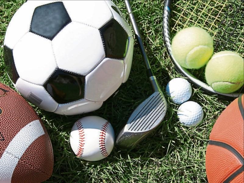 Female representation on sporting boards rises to forty-five percent