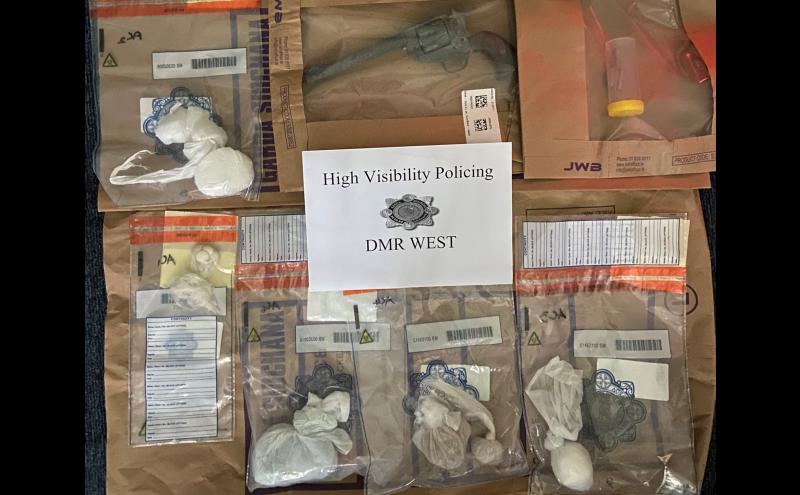 Over &euro;21,000 worth of drugs and a firearm seized by garda&iacute; in search