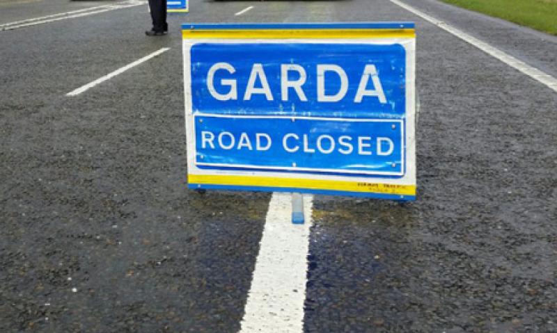 Husband and Wife who passed away following hit and run in Dublin named locally 