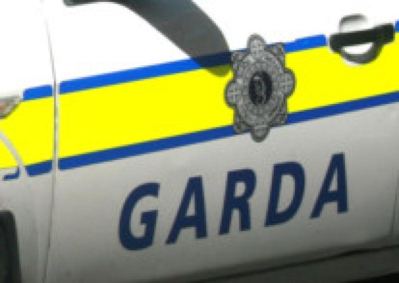 Garda&iacute; issue urgent appeal following serious road traffic collision 