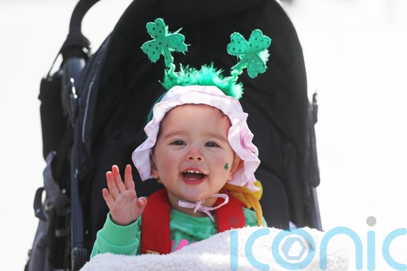 In Pictures: A wandering walrus and our sporting heroes brighten up  Ireland in 2021