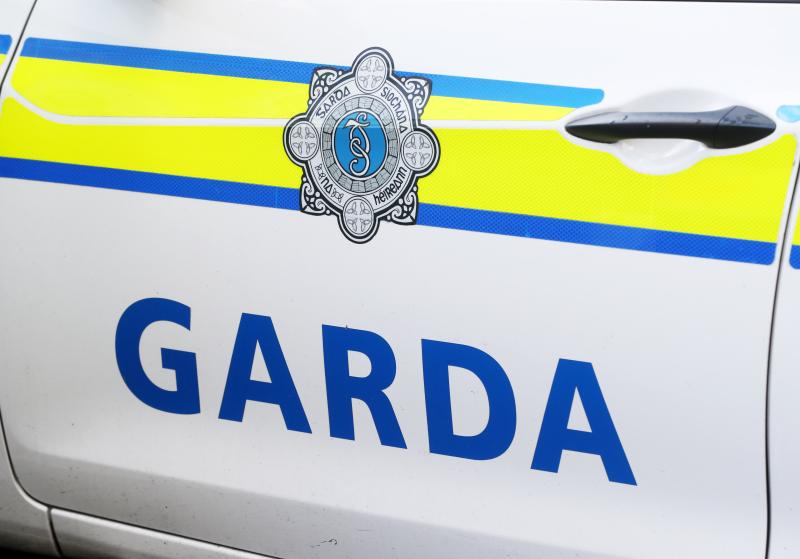 &euro;6 million cocaine seizure on Wexford farm dismantles international drug trafficking route