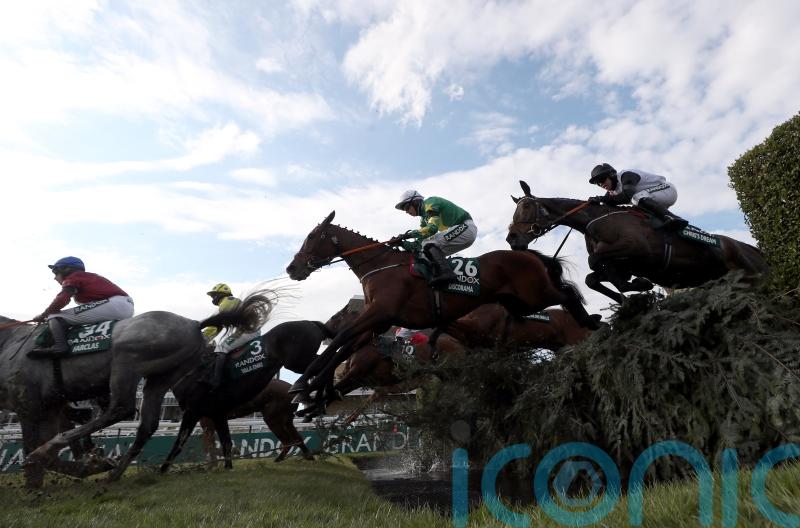 Connections of Discorama hanging on for Grand National weights reveal
