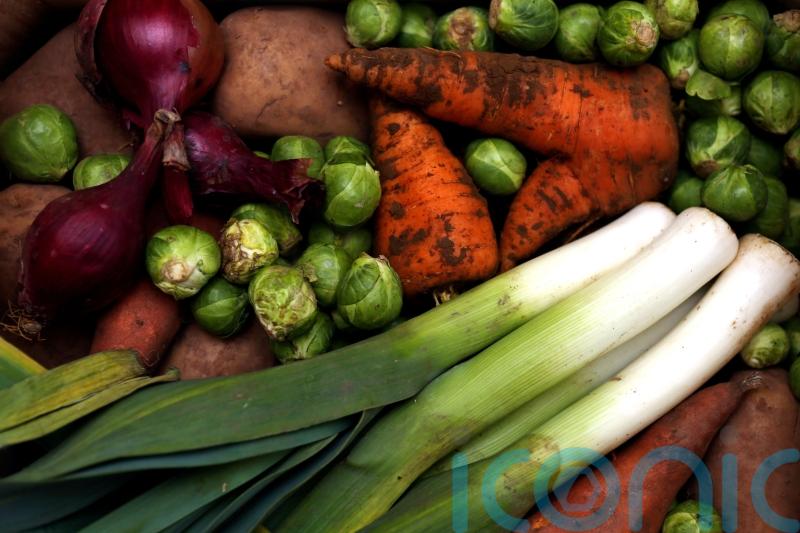 Vegetarians less likely to develop cancer compared to meat-eaters, says large UK study