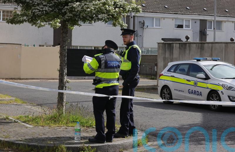Witness comes forward to help Gardai with Lisa Thompson murder investigation
