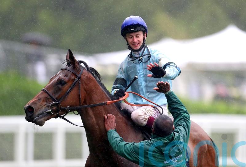 Quickthorn aiming to take advantage of Trueshan absence at Sandown