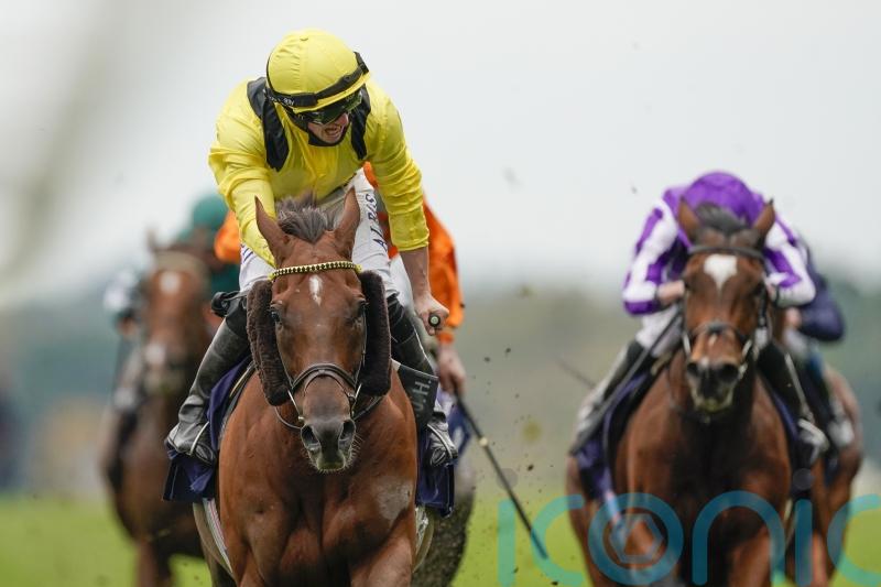 Haggas issues Addeybb warning ahead of Brigadier Gerard return