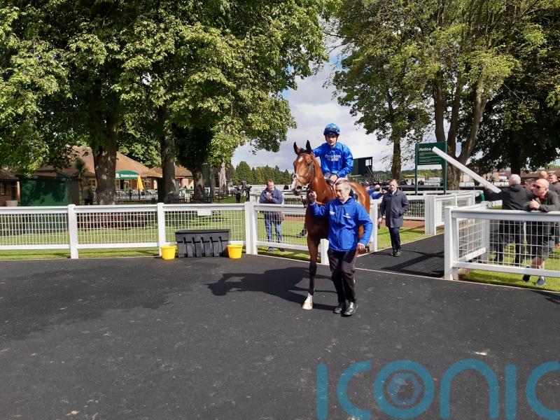 Bin Suroor looking to Wolferton Stakes with Shining Blue