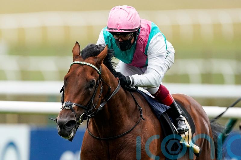 Lockinge run suggests Sunray in with major chance at Haydock