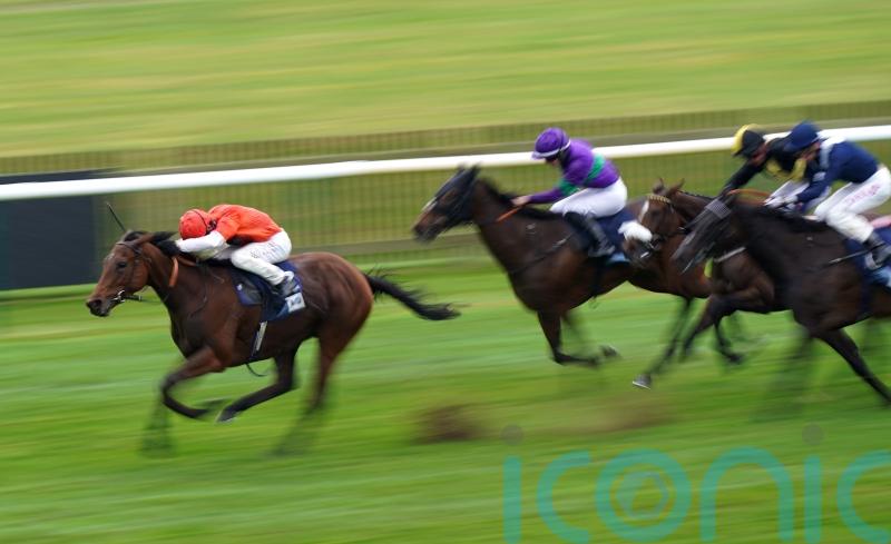 Coakley seeking further Pinnacle gains with Nell Quickly