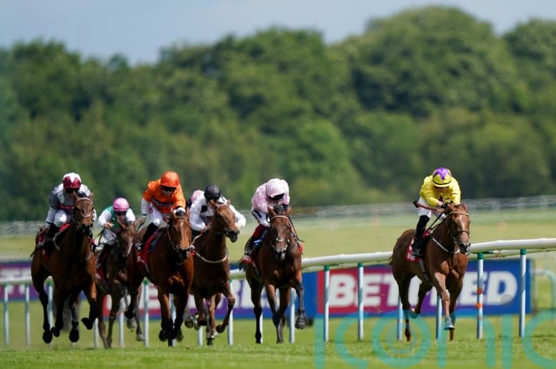 Sea La Rosa hits Pinnacle heights at Haydock