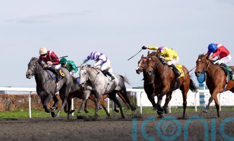 Ward confident Roman Mist can make her Epsom presence felt