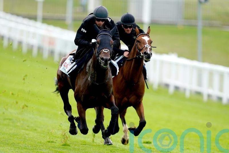 Crisford team considering options for West Wind Blows after Derby effort