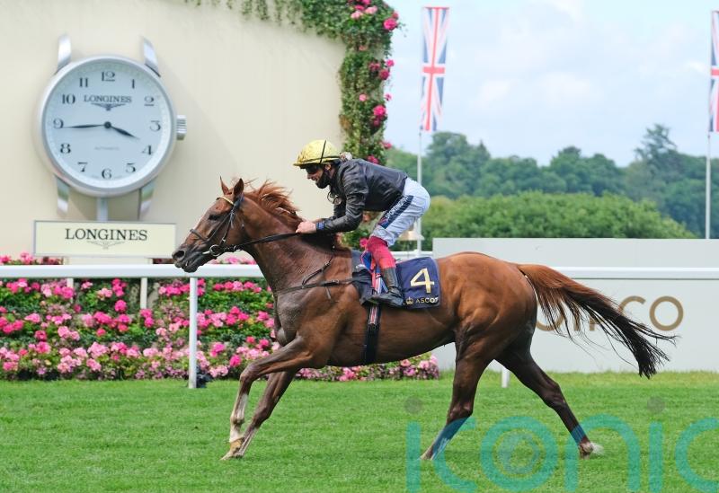 Stradivarius back in the ring for another shot at Gold Cup glory