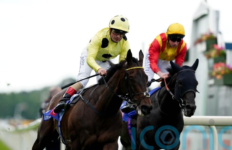 Without A Fight comes out on top at York