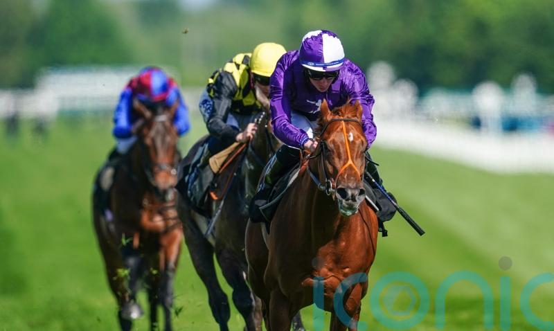 Persian Force sent to Coventry with high hopes