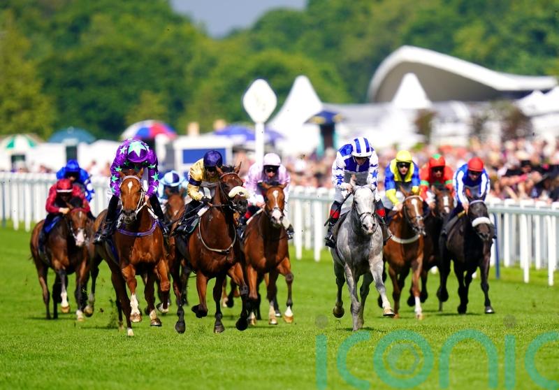 Dark Shift is Royal Hunt Cup hero