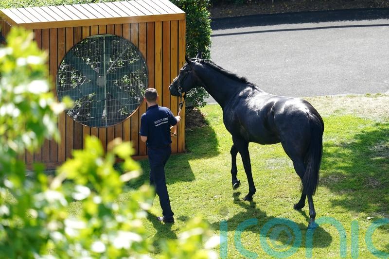 Horses keep their cool as temperatures rise at Royal Ascot