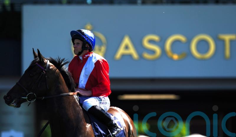 Goodwood option for Twilight Calls