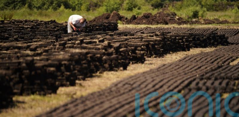 Govt expected to consider new targets for cutting carbon emissions