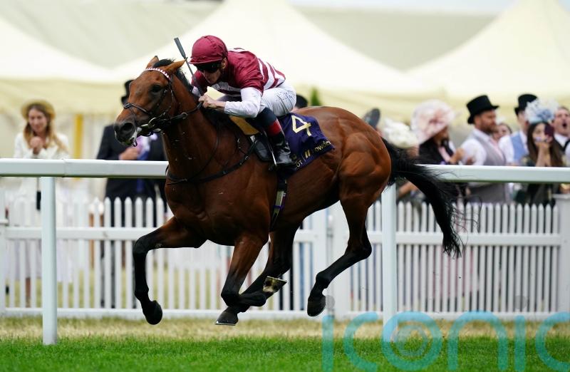 Options open for Missed The Cut with overseas targets beckoning