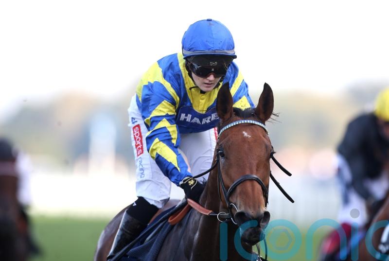 Trueshan shoulders welter burden in Northumberland Plate date