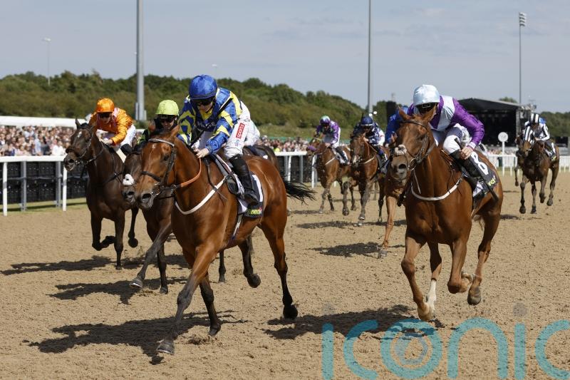 All systems go for Trueshan and Goodwood Cup