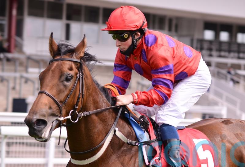 Walker has Dreamloper pencilled in for Nassau Stakes