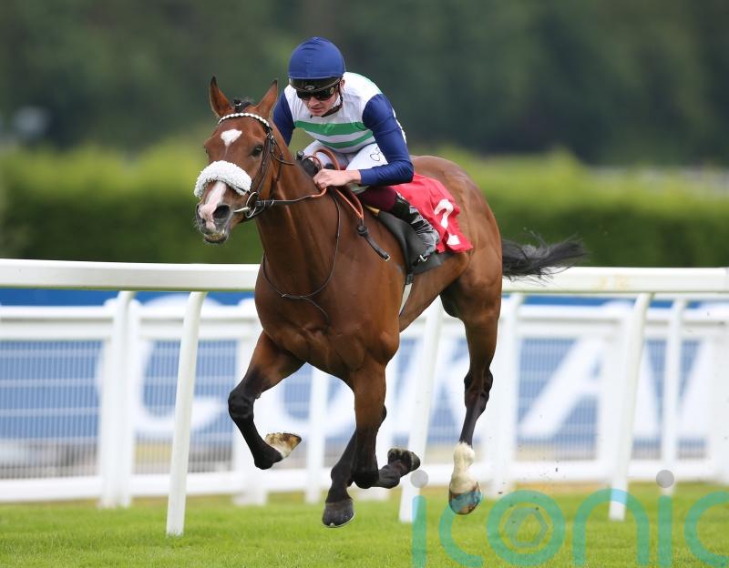 Melbourne Cup could be calling for Coltrane