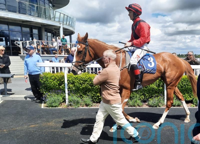 Lyons has high hopes for Mauiewowie