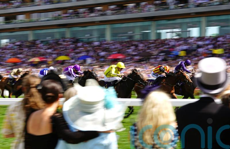 Flotus and Fight to fly Crisford flag at York