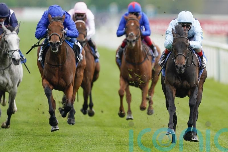 Walker backing Primo Bacio to make Falmouth splash