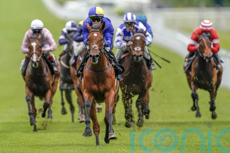 Connections expecting &lsquo;very big run&rsquo; from Flotus at York