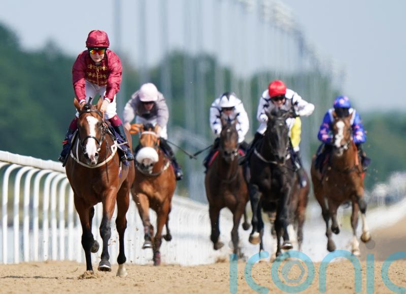 Lion Of War steps up for Superlative challenge