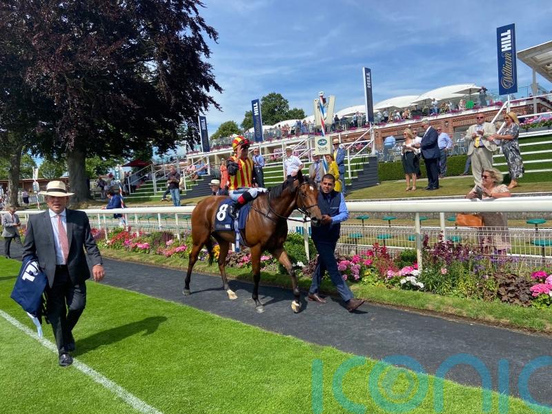 Summer special from Flotus on the Knavesmire