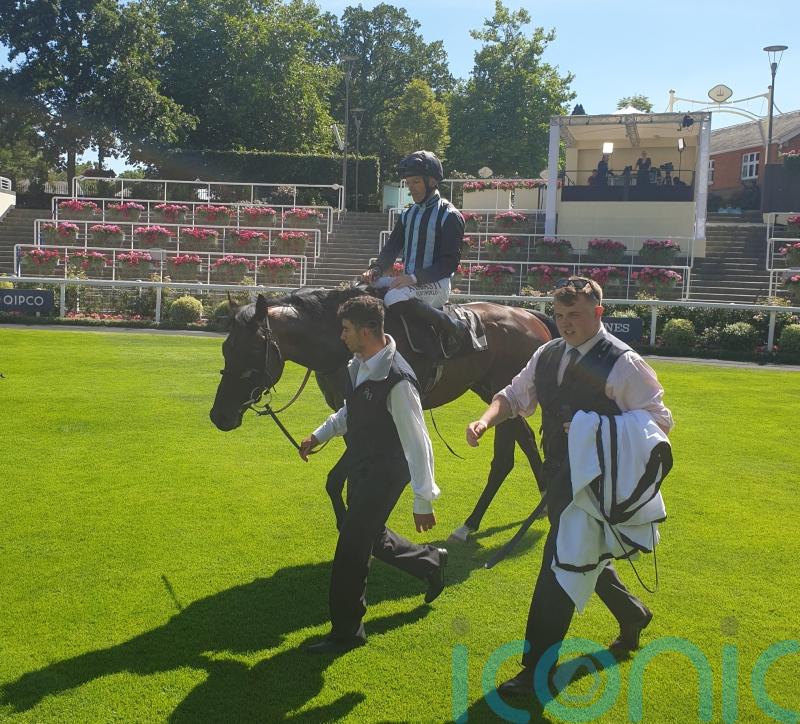 Chindit comes out on top in Summer Mile