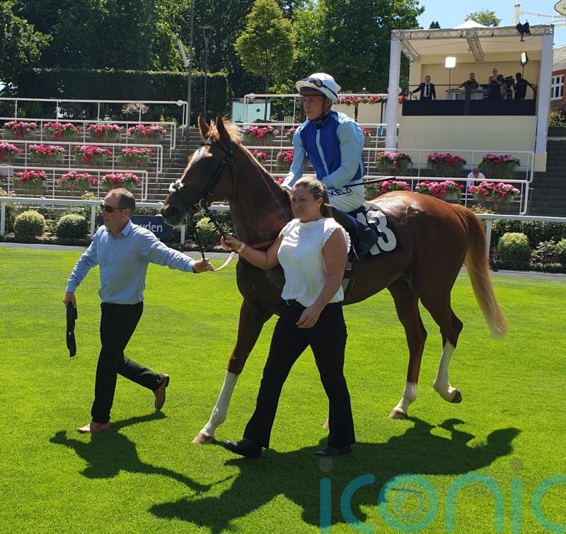 Defence Of Fort has Group targets after impressive winning debut