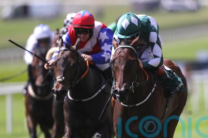 Mooneista primed for Sapphire defence at the Curragh