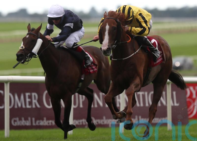 Irish Leger repeat on the cards for Sonnyboyliston