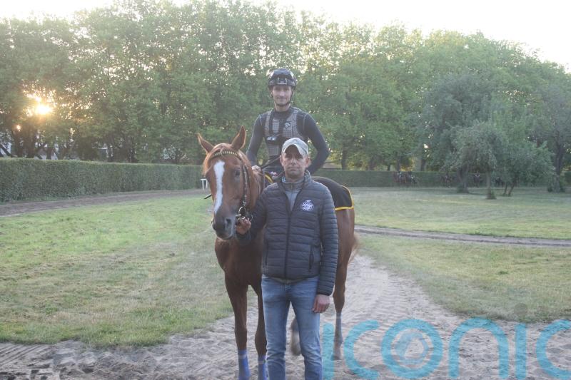 Torquator Tasso given green light for King George