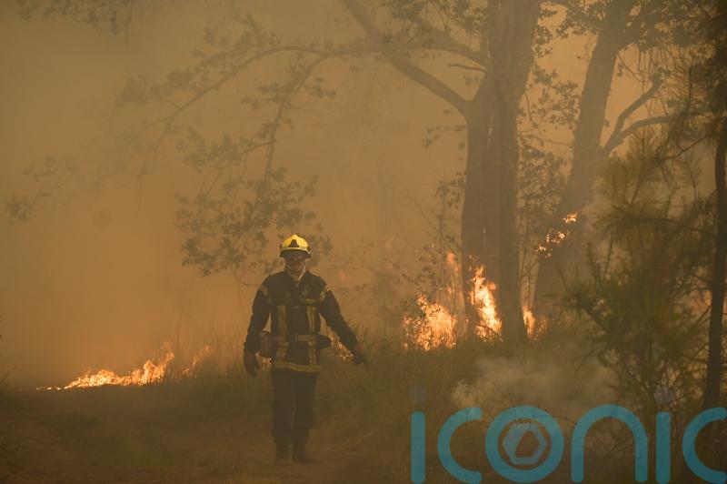 Stop playing politics while &lsquo;Europe burns&rsquo;, Donnelly tells opposition