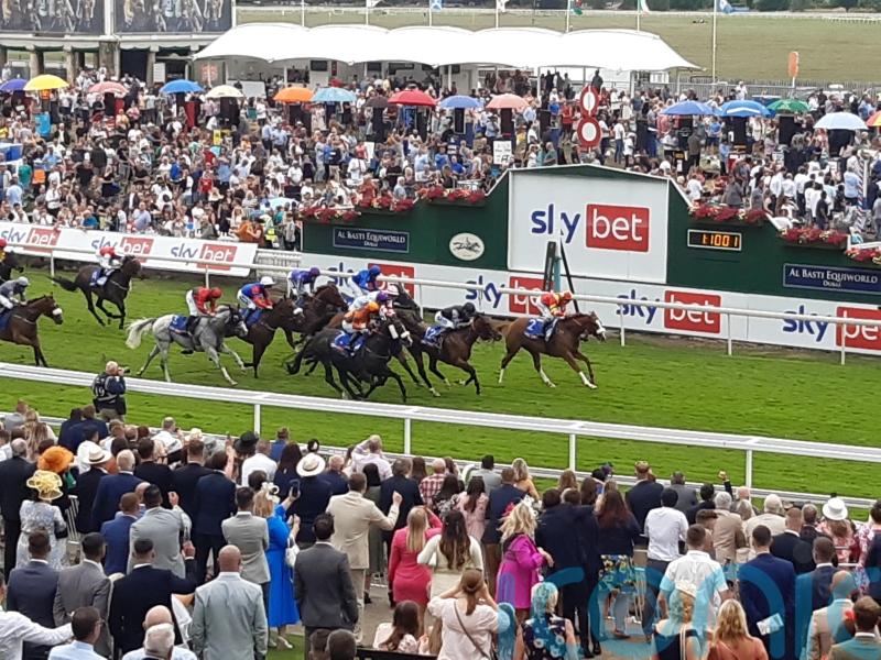 Gale Force Maya too strong for York rivals