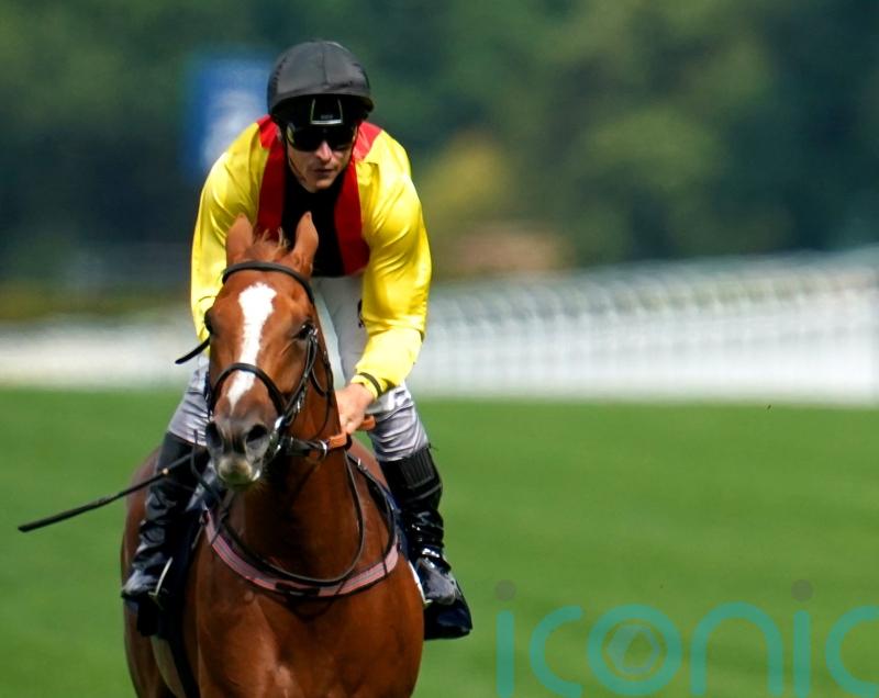 Arc repeat in Torquator Tasso&rsquo;s sights after Ascot second