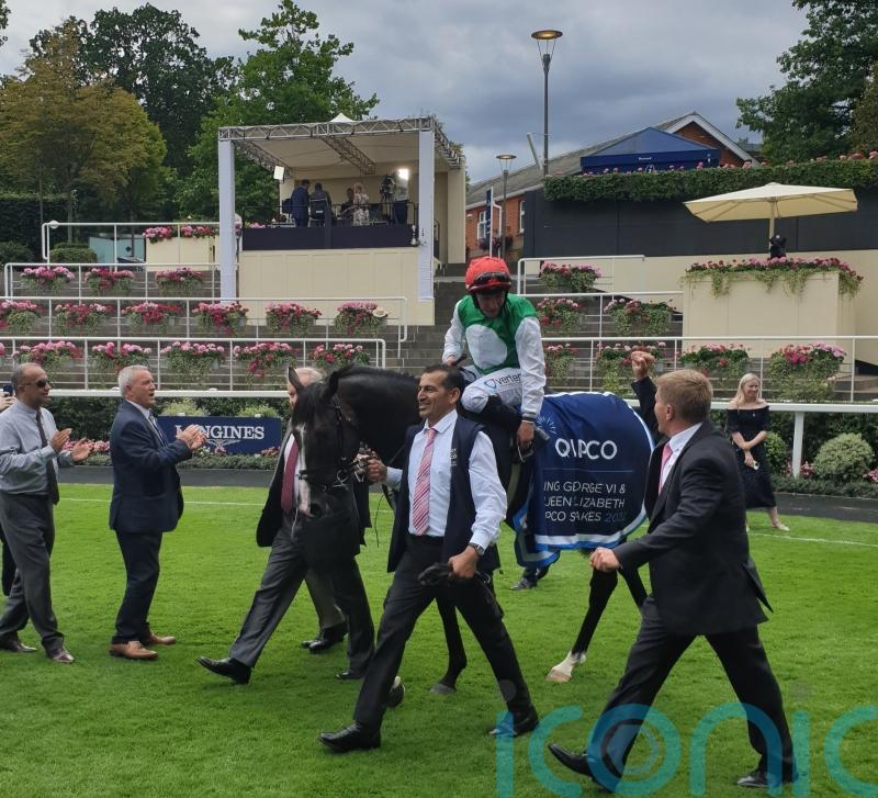 Pyledriver justifies Muir confidence with super King George success