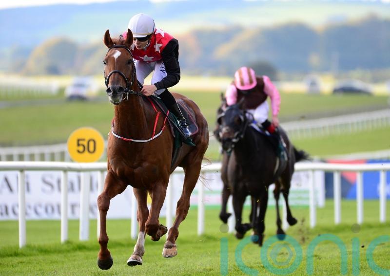 Emmet Mullins&rsquo; pair primed for Galway Plate challenge