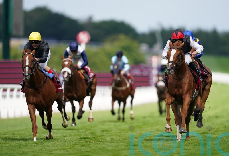 Kyprios just denies Stradivarius in Goodwood Cup thriller