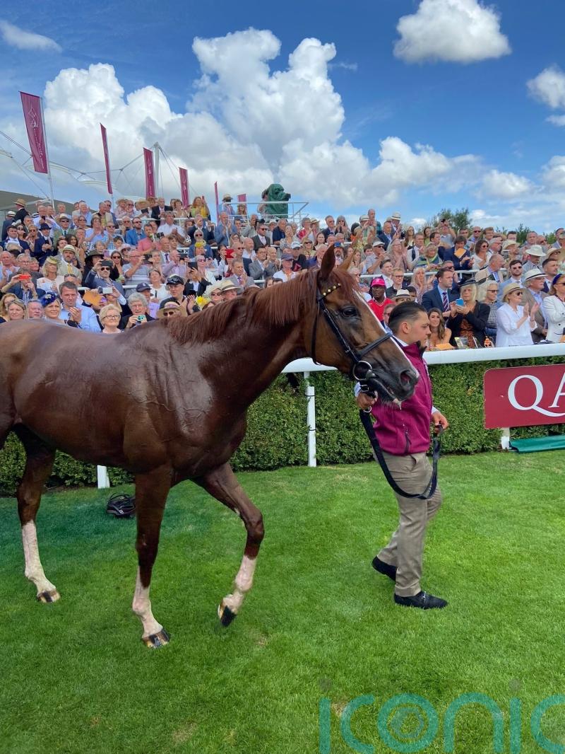 We&rsquo;re not going to say goodbye after that &ndash; Nielsen on Stradivarius