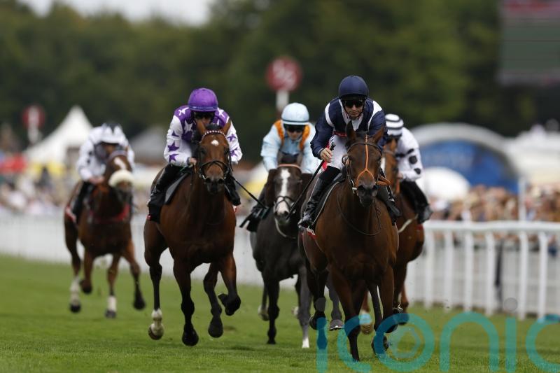 Trillium proves jet propelled in Molecomb Stakes