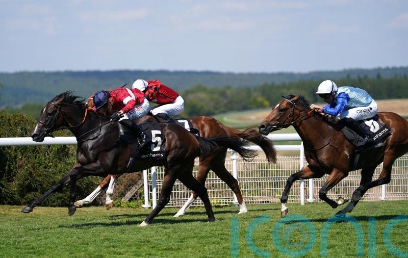 Rocchigiani lands knockout blow for Germany at Goodwood