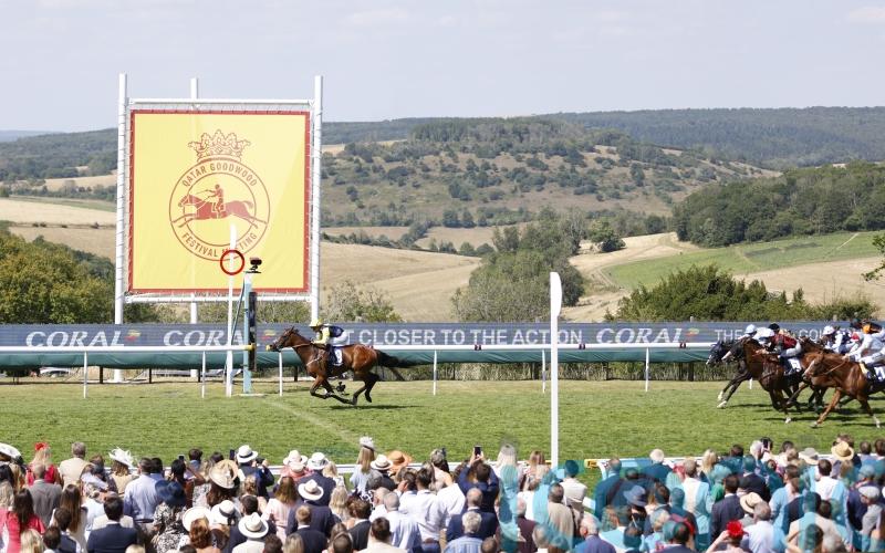 Mile proves Golden for O&rsquo;Meara and Watson with Orbaan